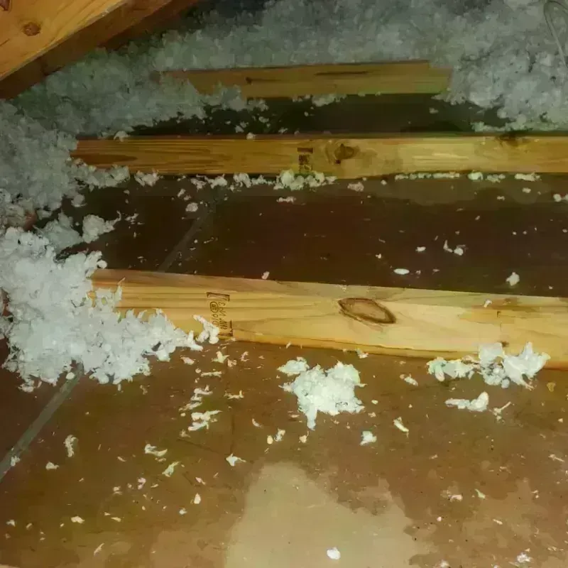 Attic Water Damage in Cambridge, MN