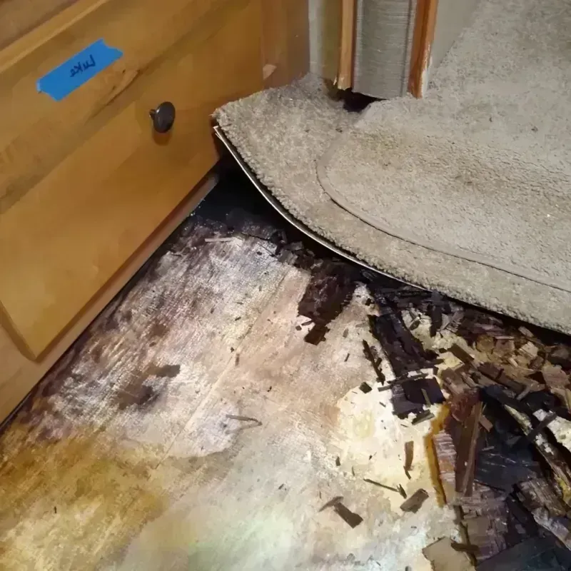 Best Wood Floor Water Damage Service in Cambridge, MN